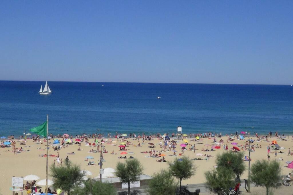 Hossegor Appartement T2 Cabine - Superbe Vue Ocean 索尔特奥瑟戈尔 外观 照片